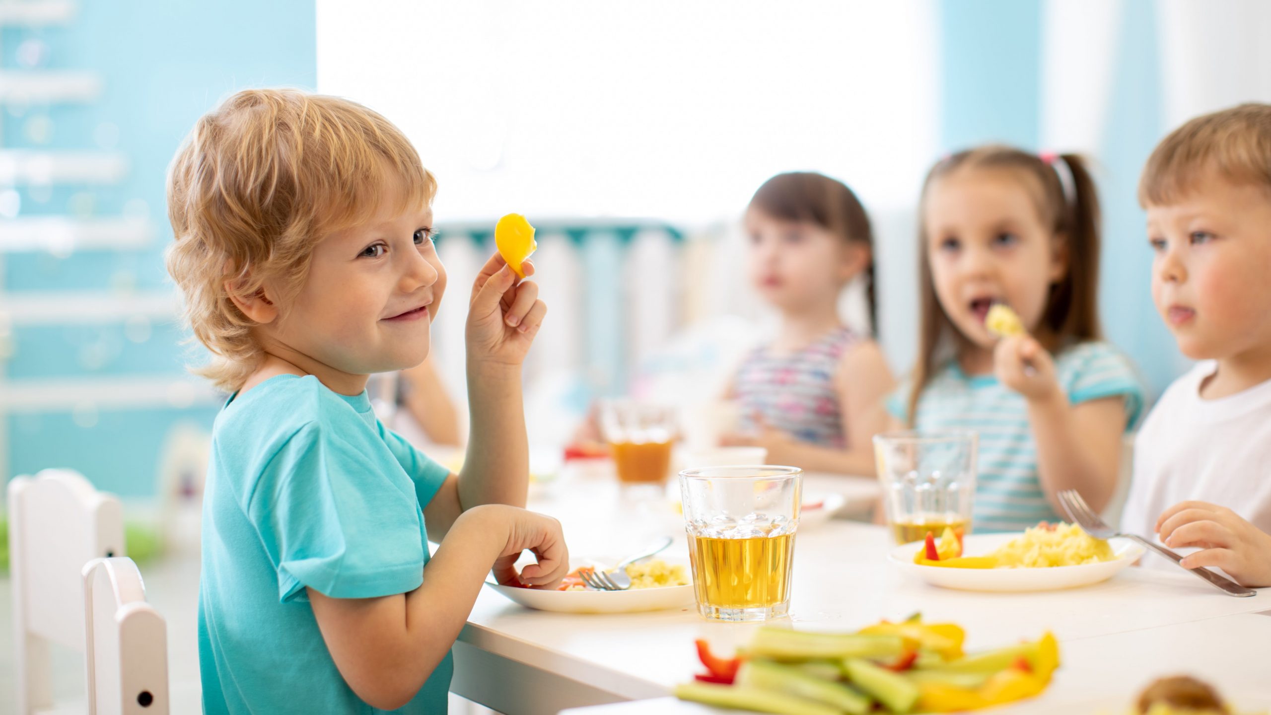 childcare-food-program-food-reimbursement-a1-childcare-food-program